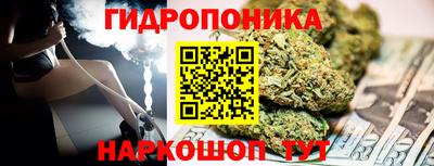 крисы Гусев