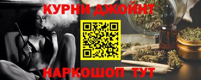 шишки Гатчина