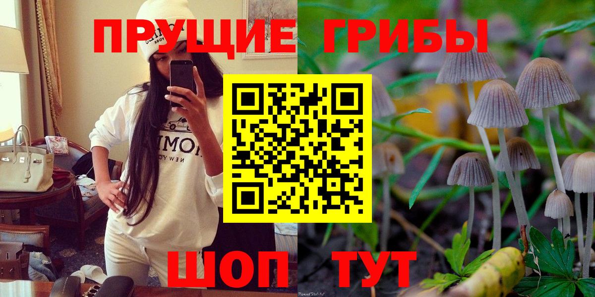 Псилоцибиновые грибы ЛСД  Вход с VPN  Псилоцибиновые грибы мицелий  где продают наркотики  Мыски 