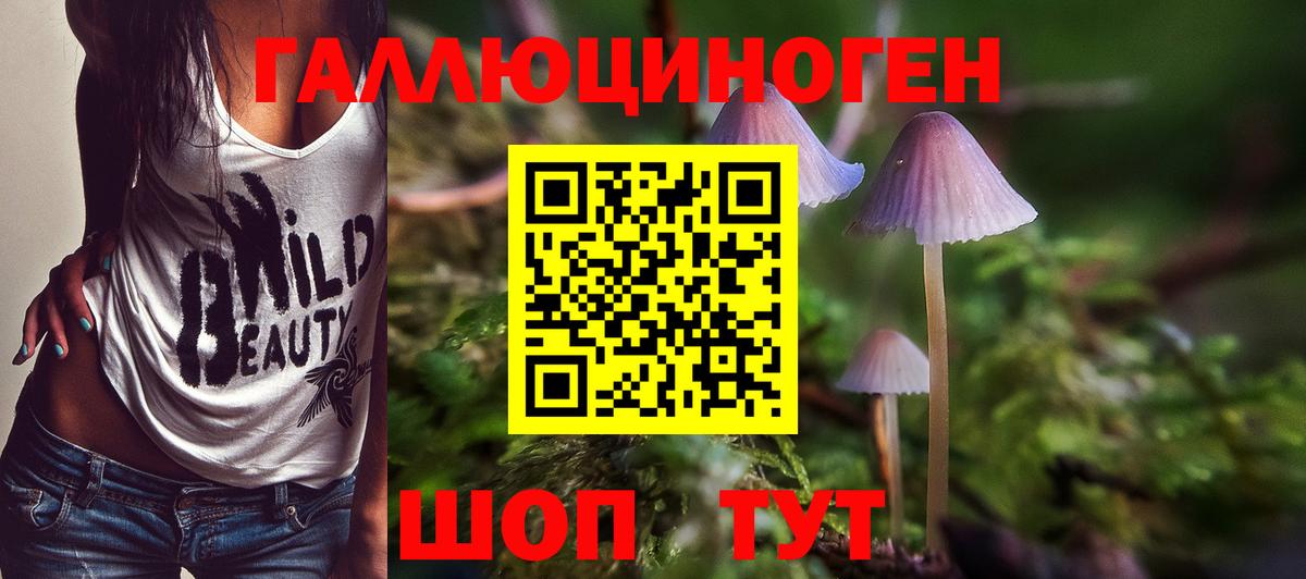Псилоцибиновые грибы Psilocybine cubensis Мыски